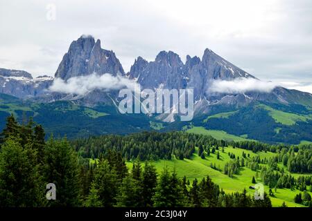 Bergblick auf die Langkofelgruppe auf der Seiser Alm, Dolomiten, Italien Stockfoto