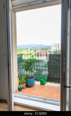 Kräuter- und Blumengarten auf dem Balkon Stockfoto