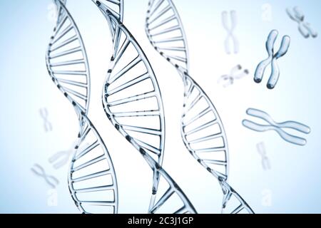 Zusammenfassung Hintergrund. DNA-Molekül mit X-Chromosomen Stockfoto