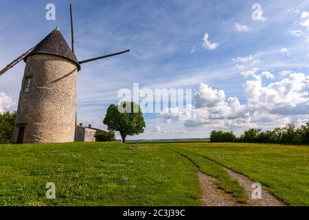 Windmühle von Le Moulin de Rimbault, Beauvoir-sur-Niort, Frankreich Stockfoto