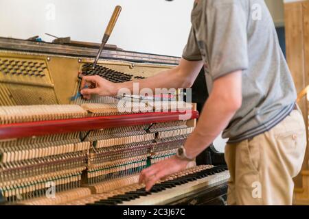 Klaviertuning-Prozess. Nahaufnahme der Hand und Werkzeuge des Tuners, der am Flügel arbeitet. Detailansicht des aufrechten Klaviers während einer Stimmung Stockfoto