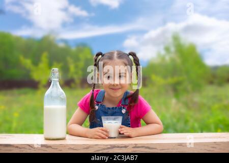 Schöne kleine Brünette Mädchen mit zwei Zöpfen sitzt an einem Tisch, hält ein Glas Milch und lächelt, eine Flasche Milch steht daneben, gegen eine gree Stockfoto