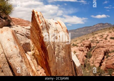 Detail von geteiltem Sedimentgestein im Red Rock Canyon State Park, Las Vegas, Nevada, USA Stockfoto