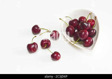 Bio-Kirschen aus dem Valle del Jerte Extremadura Spanien. Stockfoto