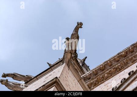 Wasserspeier in der Kathedrale St. Pierre, Poitiers, Nouvelle-Aquitaine, Frankreich Stockfoto