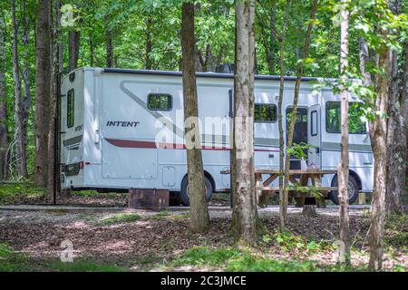 Freizeitfahrzeug auf einem Campingplatz in einem nationalen Wald geparkt Stockfoto