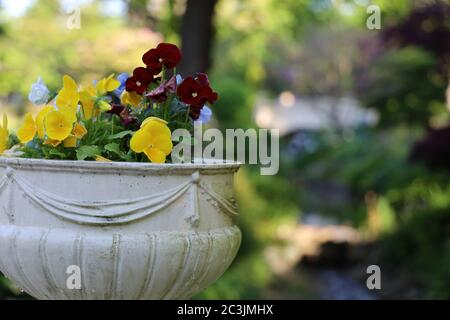 Halifax im Sommer während einer Pandemie. Leere Straßen, Gärten und Bänke. Stockfoto