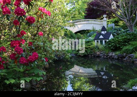 Halifax im Sommer während einer Pandemie. Leere Straßen, Gärten und Bänke. Stockfoto