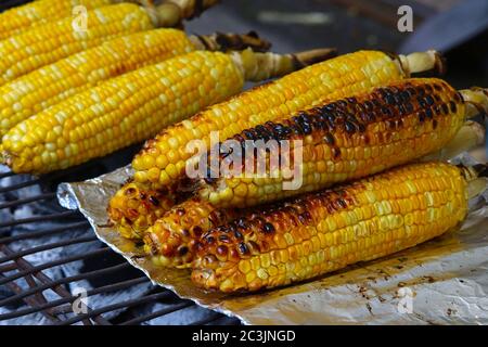 Gegrillter Mais auf dem Cob auf einem verdeckten Grill Stockfoto