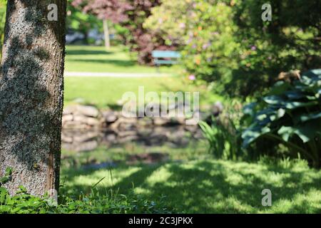 Halifax im Sommer während einer Pandemie. Leere Straßen, Gärten und Bänke. Stockfoto