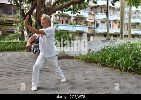 FOSHAN, CHINA - CIRCA JUNI 2020: Ein chinesischer Kung-Fu Großmeister zeigt einzelne Techniken des Drachen-Stils Kung-Fu. Stockfoto