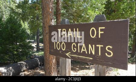 Schild am Eingang zum Trail of 100 Giants im Sequoia National Forest Stockfoto