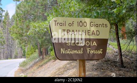 Schild am Eingang zum Trail of 100 Giants im Sequoia National Forest Stockfoto