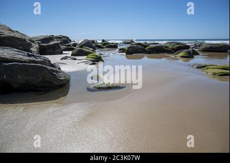 Wunderschöne Landschaft von Mooloolaba Beach, Sunshine Coast, Queensland, Australien Stockfoto