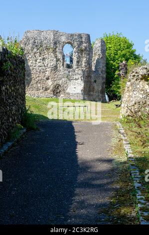 Reading, Berkshire, Großbritannien. April 2015. Die Abbey Ruins in Reading Town Centre, Reading, Berkshire. Quelle: Maureen McLean/Alamy Stockfoto