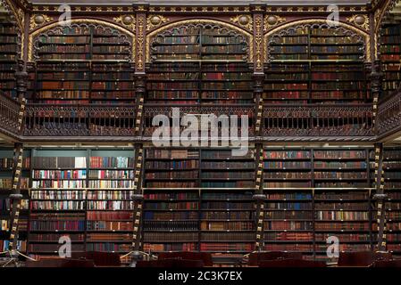 Schön dekorierte Regale voller antiker Bücher Stockfoto