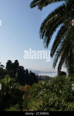 Schöne Aussicht auf Batumi (Georgien) vom botanischen Garten bei sonnigem Wetter. Ein Schild vor einer Palme undefiniert Stockfoto