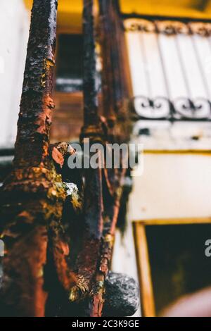 Vertikale Nahaufnahme des rostigen und alten Handlaufs und Zäune eines Gebäudes Stockfoto