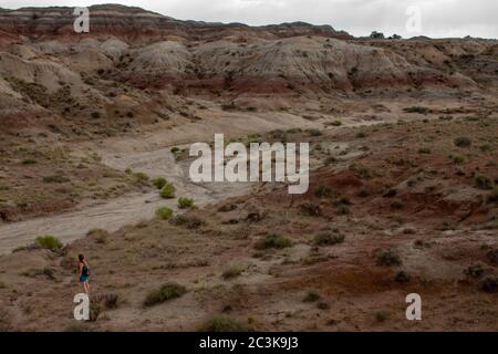 Weit entfernte Wanderinnen wandern entlang eines trockenen Flussbettes in den Bisti Badlands in der De-Na-Zin Wildnis in San Juan County, New Mexico Stockfoto