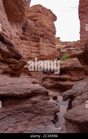 Wüstenpfad führt durch einen schmalen Slot Canyon im San Lorenzo Canyon in der Chihuahuan Wüste außerhalb von Socorro, New Mexico, USA Stockfoto