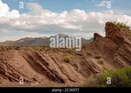 Socorro Peak, ein Berg in der Chihuahuan Wüste, in Socorro, New Mexico, USA, von einem Wüstenpfad im San Lorenzo Canyon aus gesehen Stockfoto