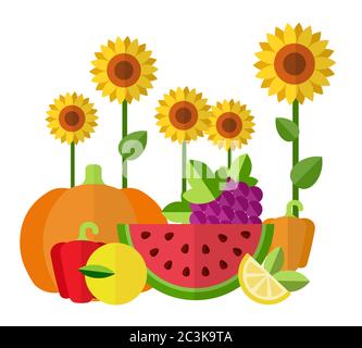 Illustration von frisch gepflückten Obst und Gemüse, Beeren und Sonnenblumen flache Vektor-Set Stock Vektor