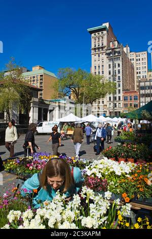 Bauernmarkt am Union Square, Midtown Manhattan, New York City, New York, USA Stockfoto