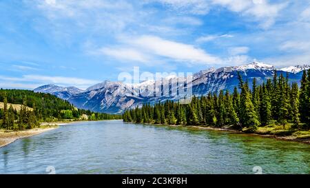 Der Athabasca River von der Bridge of Maligne Lake Road im Jasper National Park in den kanadischen Rockies, Alberta, Kanada Stockfoto