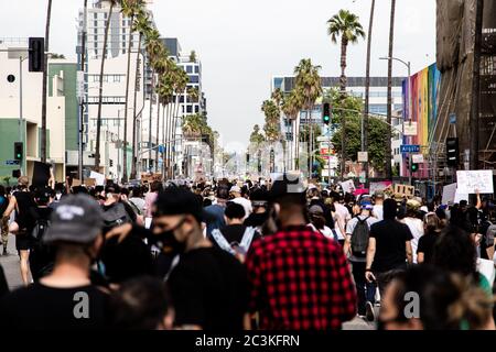 Ein Meer von Tausenden Demonstranten marschieren während eines BLM-Protestes 2020 den Sunset Boulevard in Hollywood, Los Angeles, CA, hinunter. Stockfoto