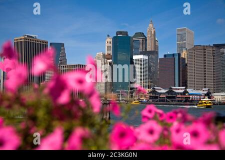 Lower Manhattan von Fulton Ferry Landing, Dumbo District, Brooklyn, New York City, New York, USA Stockfoto