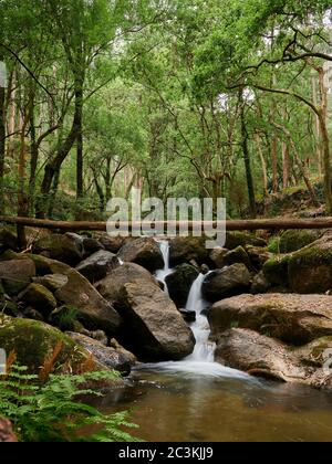 Die Wasserfälle des Flusses Leça in Monte Cordova, Portugal. Das Flusswasser fließt die großen Felsen des Berges hinunter, unter dem grünen Baumkronen der Bäume in der Stockfoto