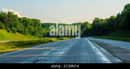 Straße in den Wald Stockfoto