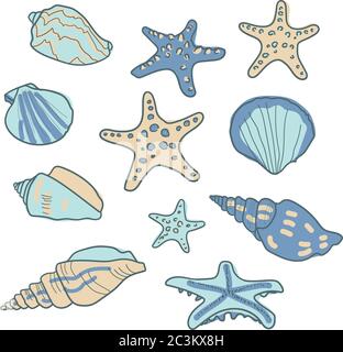 Vektor-Set-Muster mit Muscheln und Seesterne. Meereshintergrund. Vektor-Kollektion im Skizzenstil. Stock Vektor