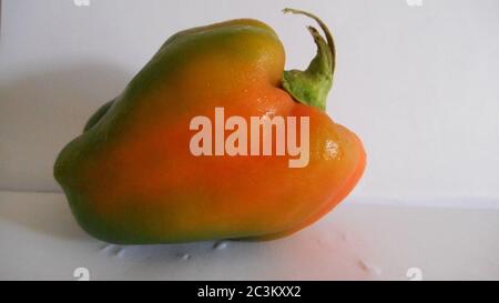 Eine schöne reifen Paprika auf weißem Hintergrund. Stockfoto
