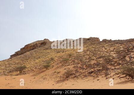 Fossil Rock ist eine ikonische Felsformation mit marinen Fossilien in trockenen Sanddünen in Sharjah, Vereinigte Arabische Emirate. Stockfoto
