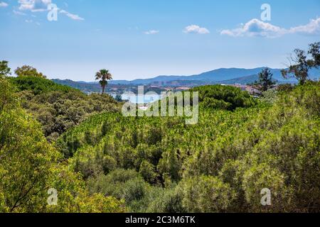 Panoramablick auf die bewaldete Küste der Costa Smeralda in San Teodoro Ferienort in Sardinien, Italien am Tyrrhenischen Meer Stockfoto