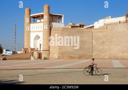 Alter Mann, der mit dem Fahrrad an der Wand der Festung Buchara (Arche) am sonnigen Tag über hellblauem Himmel, Usbekistan, spazierengeht Stockfoto