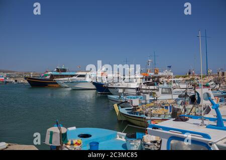 24. Juni 2015 - Ayia Napa, Zypern: Fischerboote im Hafen von Ayia Napa Stockfoto