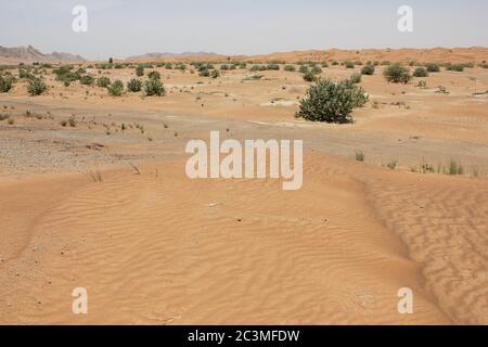 Unberührte Wüste Sanddünen Ökologie / Ökosystem. Wind Aktion ändert ständig die Größe, Höhe, Form, Textur und Farbe der hohen und trockenen Dünen. Stockfoto
