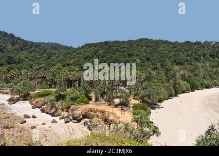 Wunderschöne Landschaft mit Regenwald im Mu Ko Lanta Nationalpark, Koh Lanta, Krabi, Thailand, Asien Stockfoto