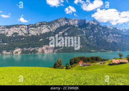Herrliche Aussicht Walensee und die Alpen mit grüner Weide im Vordergrund von der Südseite des Sees, Kanton Glarus, Schweiz. Stockfoto