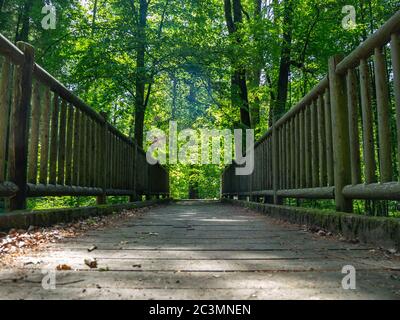 Die abnehmende Perspektive einer Holzbrücke im Wald Stockfoto