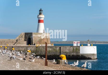 15. Juni 2020. Fraserburgh, Aberdeenshire, Schottland, Großbritannien. Dies ist der Ausgang und Eingang Pier von Fraserburgh Harbor an einem sehr sonnigen Sommertag. Stockfoto