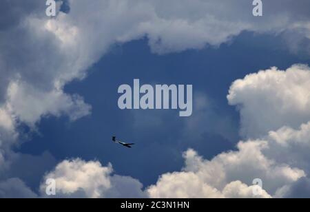 Kaufbeuren, Deutschland. Juni 2020. Ein Segelflugzeug fliegt durch eine Lücke in den Wolken. Quelle: Karl-Josef Hildenbrand/dpa/Alamy Live News Stockfoto