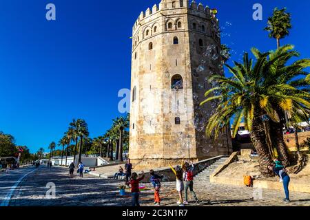 Torre del Oro - mittelalterlichen Wachturm aus dem 13. Jahrhundert und heute Aussichtsterasse und Marinemuseum, Sevilla, Andalusien, Spanien Stockfoto