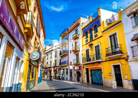 Bunte Häuser in der Calle San Esteban im Alfalfa-Viertel, Sevilla, Andalusien, Spanien Stockfoto