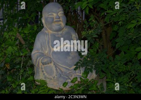 Lachend und sitzend Zen buddha im Rosenstrauch Stockfoto