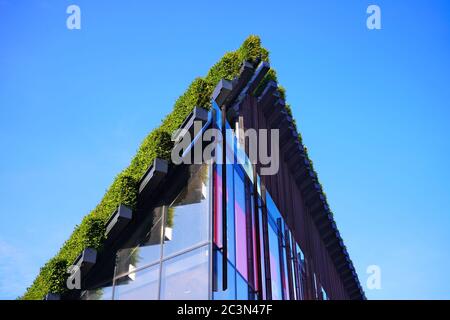 Detail eines Gebäudes, das von Ingenhoven Architects mit Hainbuche Hecken abgedeckt wurde. Kö-Bogen II ist ein Projekt, um die Stadt grüner zu machen. Stockfoto