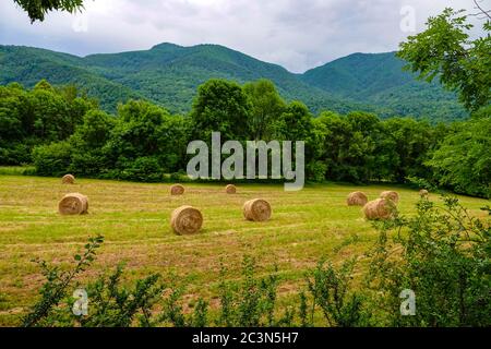 Rundballen Heu, Stroh, auf dem Feld in der Aiege, Frankreich Stockfoto