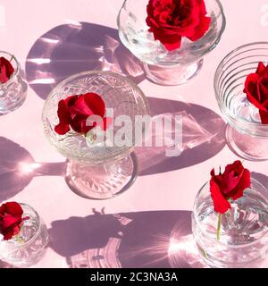Gläser mit klarem Wasser und roten Rosen stehen auf einem rosa Hintergrund, Draufsicht. Schönes kreatives Stillleben ist mit Licht mit harten Schatten und überflutet Stockfoto